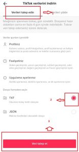TikTok'ta İzleme Geçmişinizi Nasıl Görebiliriz 