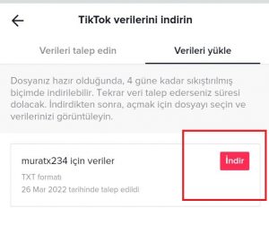 TikTok'ta İzleme Geçmişinizi Nasıl Görebiliriz