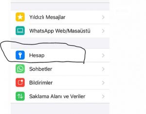 Whatsapp durumlarına gizlice nasıl bakılır
