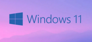 Windows 11'de çalışmayan ethernet (internet) nasıl düzeltilir?